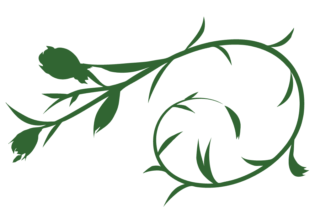可愛い葉っぱイラスト - グリーンのデザイン無料素材 - チコデザ