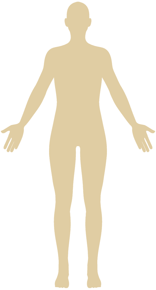 人体イラスト 男女・子供、体のイメージ無料素材 チコデザ