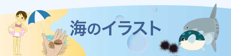 可愛い貝殻イラスト 海の記憶を封じ込めた不思議な素材 チコデザ