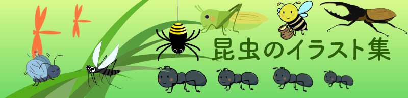 カブトムシイラスト かっこいい昆虫の無料素材集 チコデザ