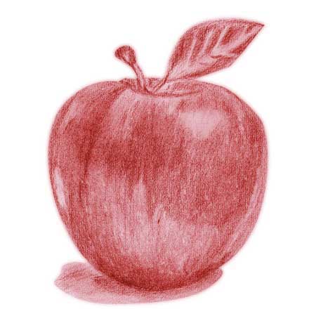 手描き風のアートでかわいいりんごのデッサンtシャツ