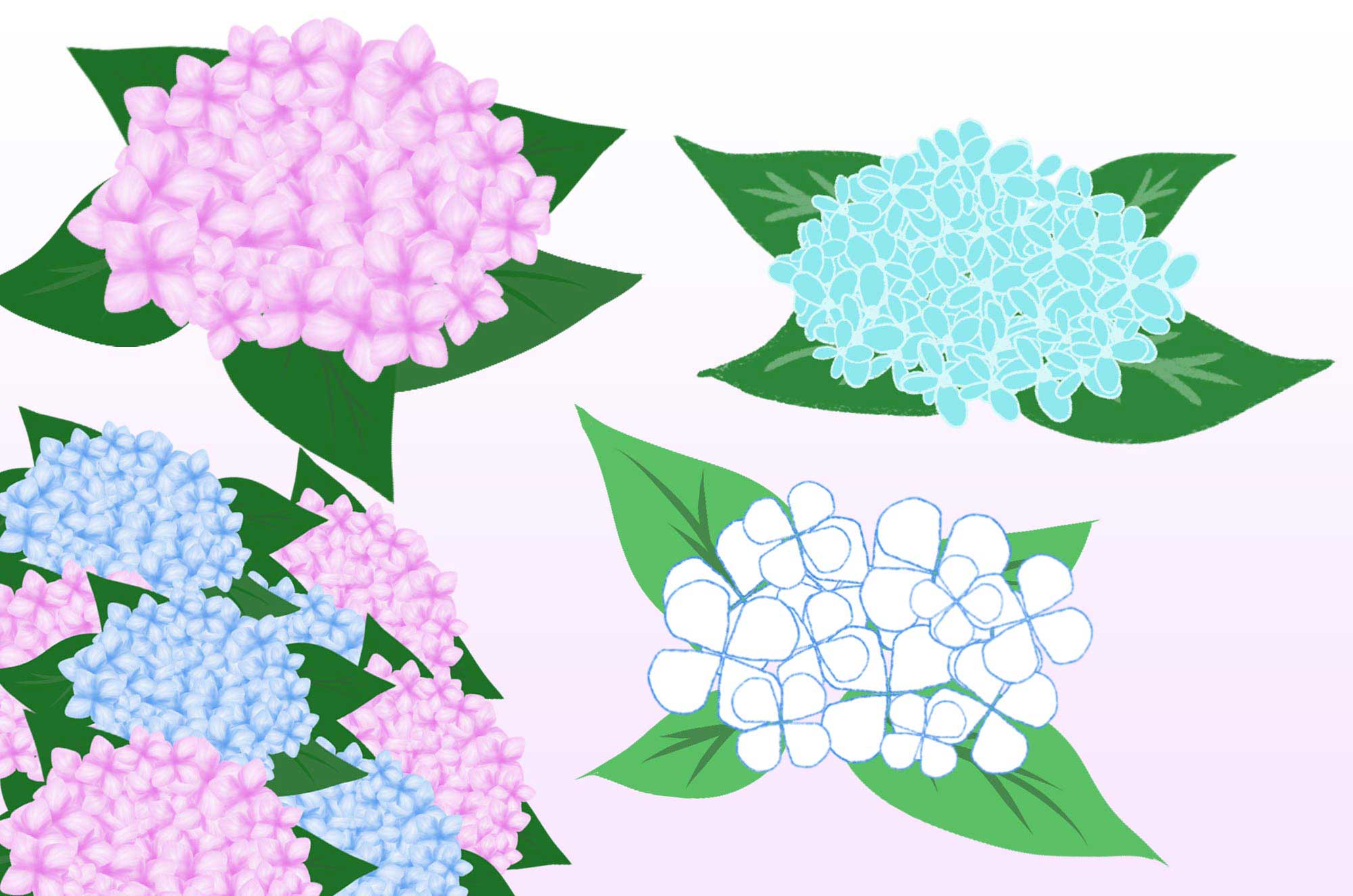 美しい花の画像 50 素晴らしい紫陽花 イラスト 簡単