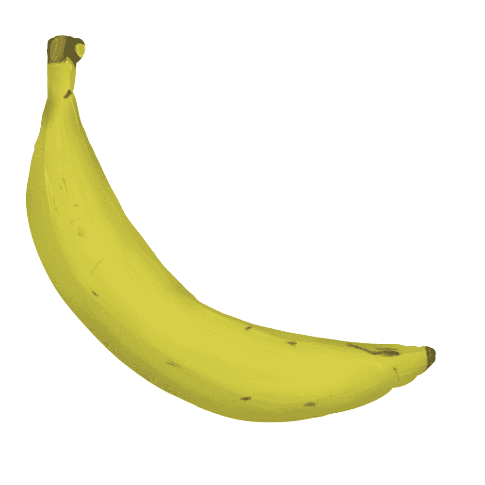 リアルな1本のバナナイラスト