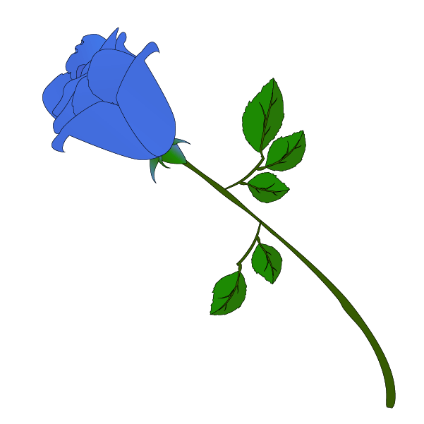 青い薔薇一輪のイラスト4