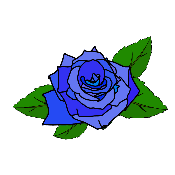青い薔薇のイラスト1