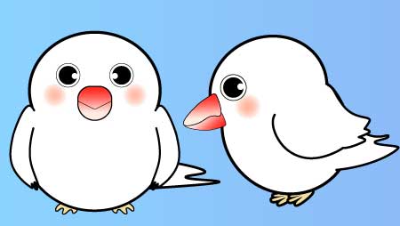 可愛いカワセミのフリーイラスト 鳥のキャラクター チコデザ