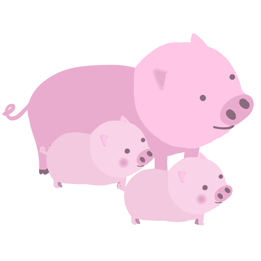 豚の親子のイラスト