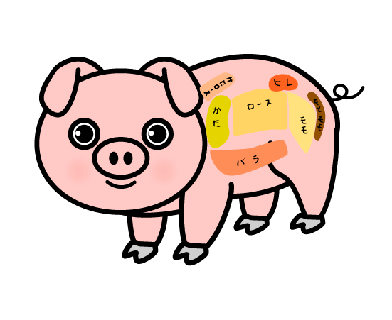 かわいい豚の部位のイラスト