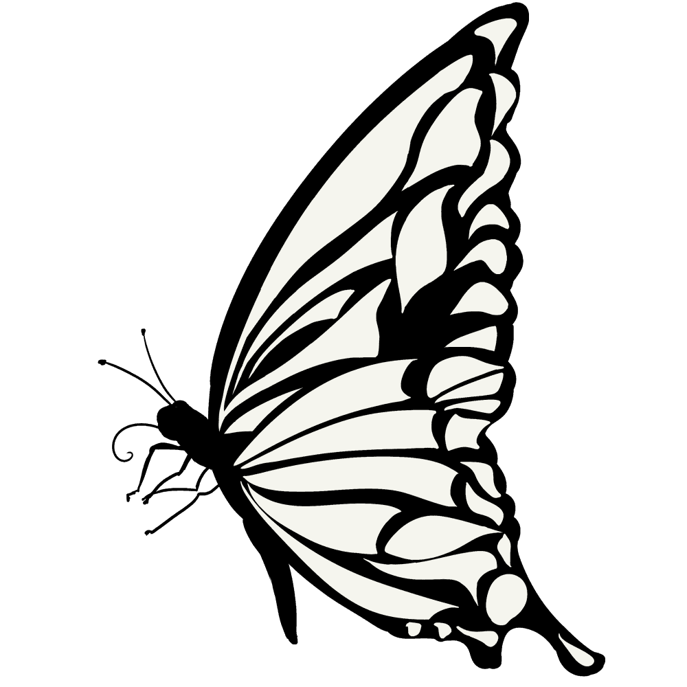 白黒の蝶イラスト
