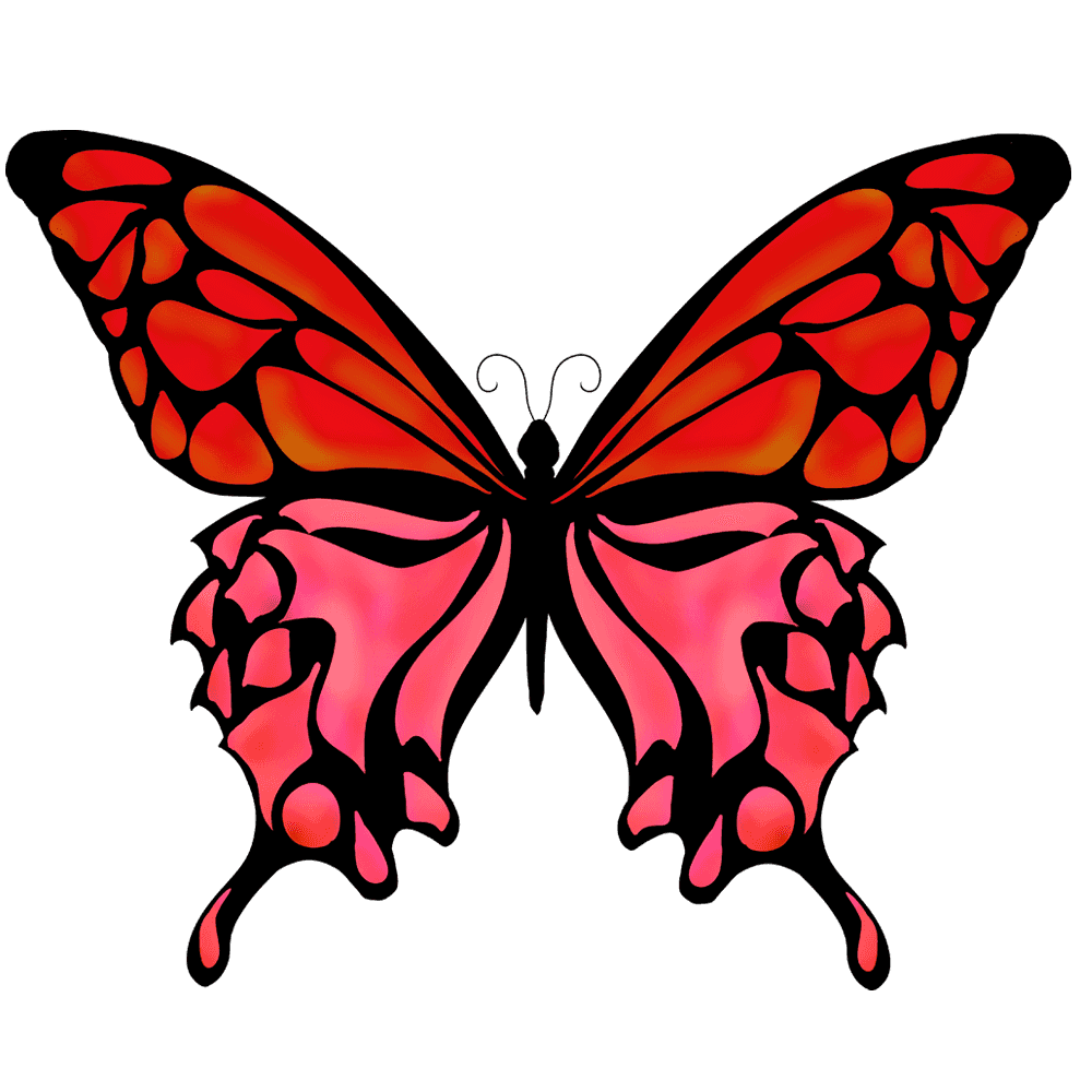 赤い羽の蝶イラスト
