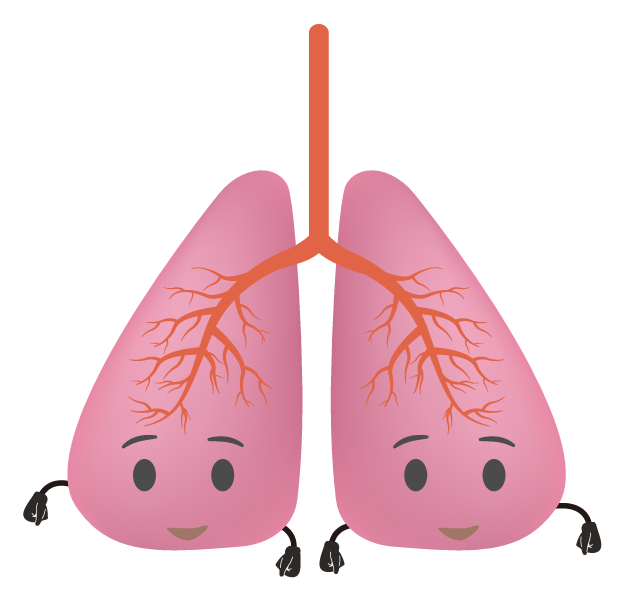 愛い肺のイラスト