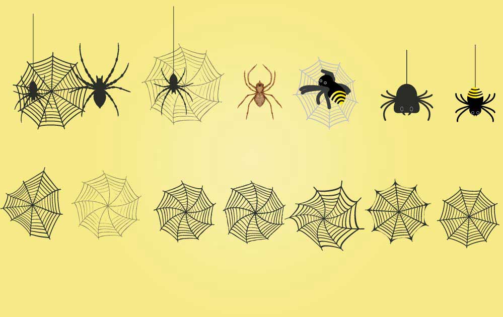 クモと蜘蛛の巣のイラスト