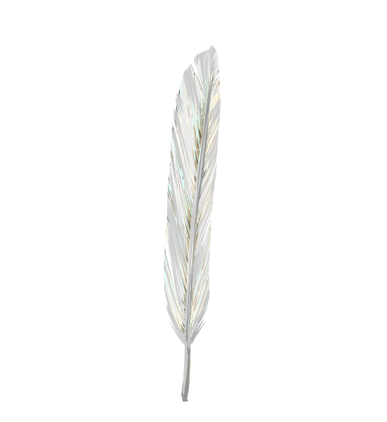 羽イラスト フリーの鳥の羽のデザイン無料素材 チコデザ