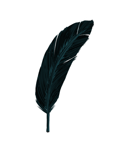 カラスの羽のイラスト