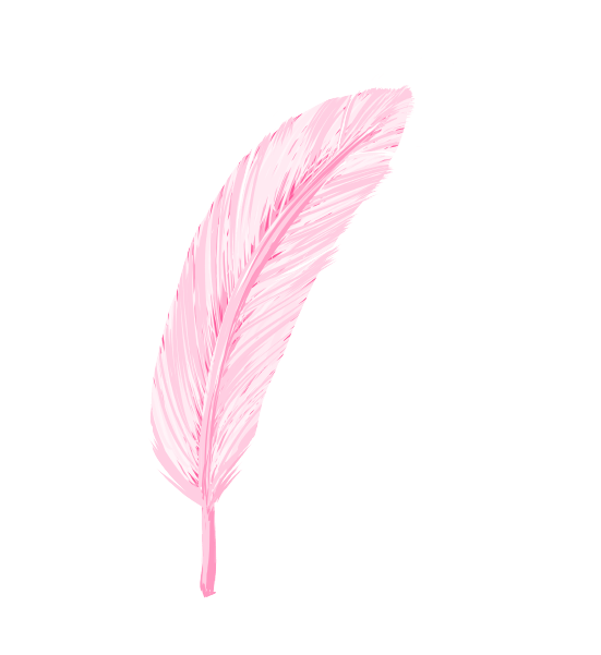 ピンクの羽のイラスト