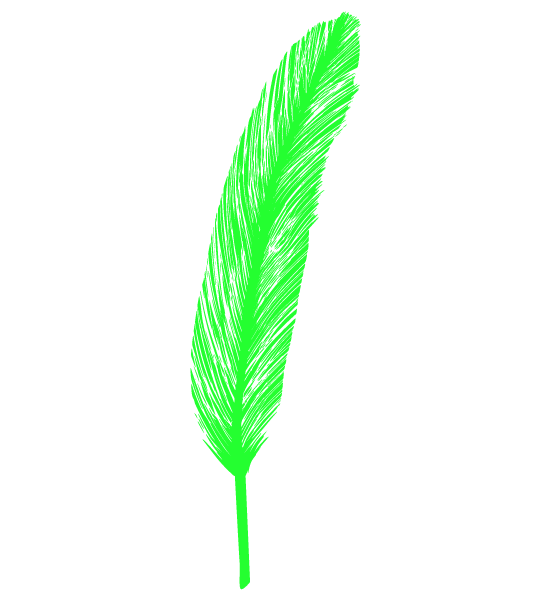 緑色の羽のイラスト