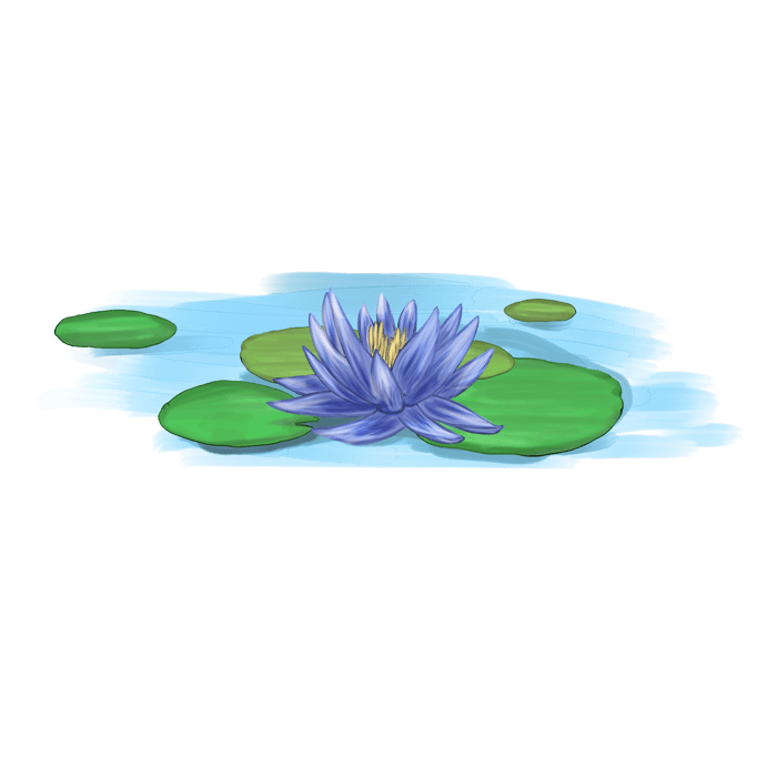 水彩の蓮の花のイラスト2