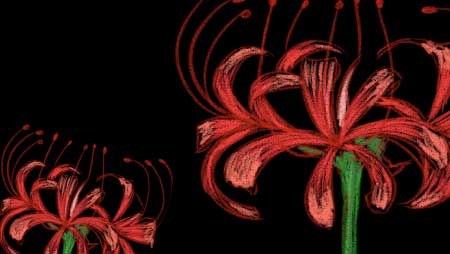花のフリーイラスト 可愛い植物の無料素材集 チコデザ