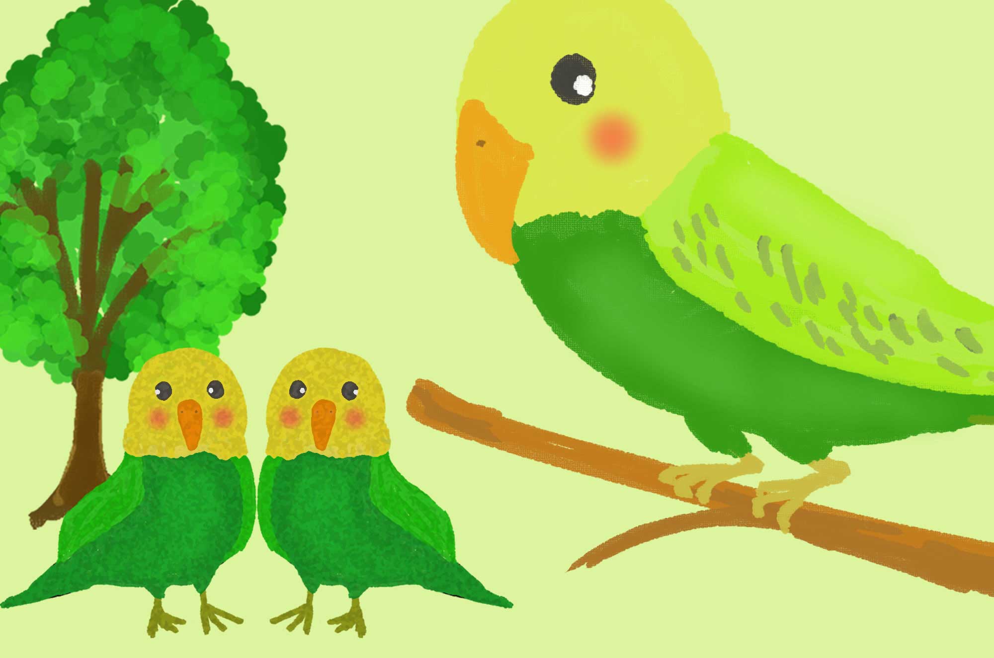 75 セキセイ インコ イラスト 無料 全イラスト集