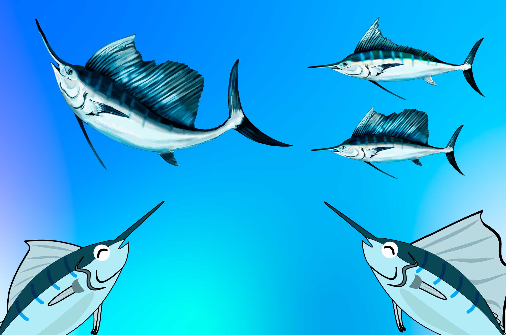 カジキマグロ バショウカジキのイラスト チコデザ