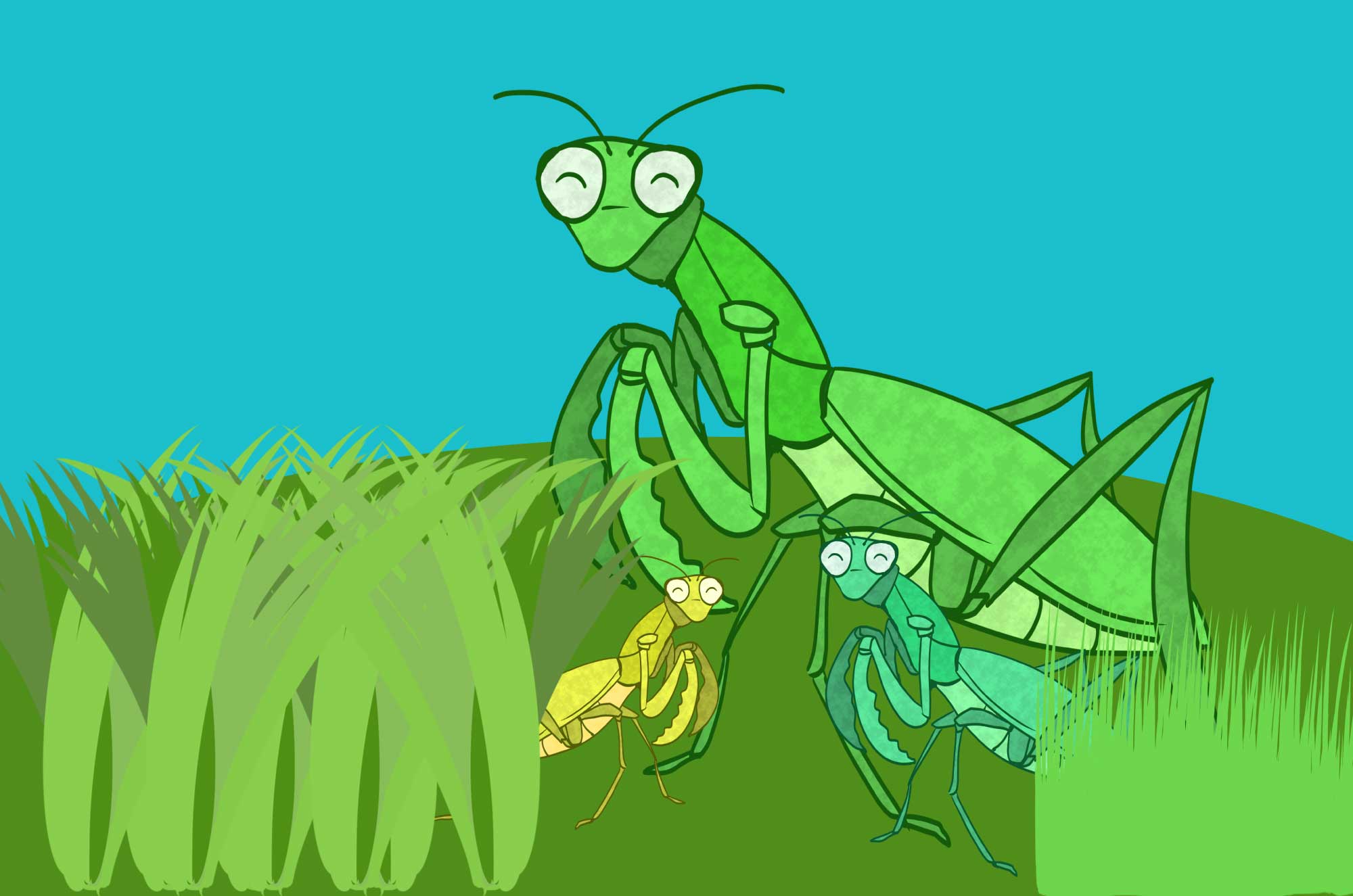 可愛いカマキリの無料イラスト - シルエット昆虫素材