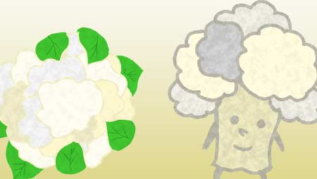 春菊のフリーイラスト 旬の野菜のイメージ素材 チコデザ
