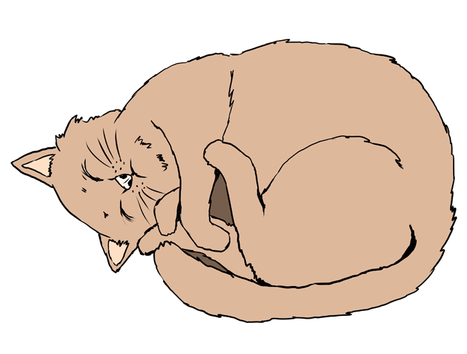 手書きの寝転ぶ茶色の猫のイラスト