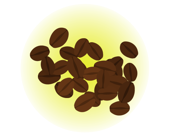 コーヒー豆の挿絵のイラスト2