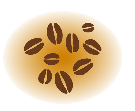 コーヒー豆の挿絵のイラスト3