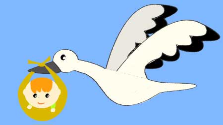 可愛い白鳥のイラスト 無料の鳥イメージフリー素材 チコデザ