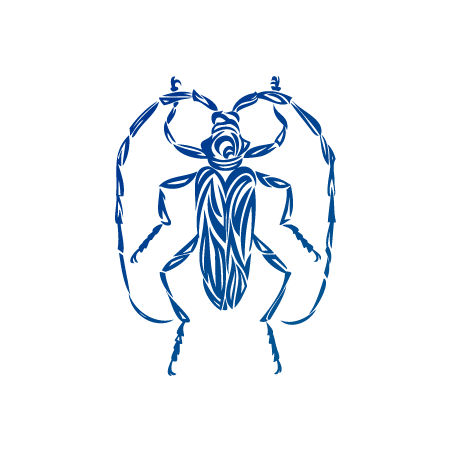 クビアカツヤカミキリのトライバルマークのイラスト青