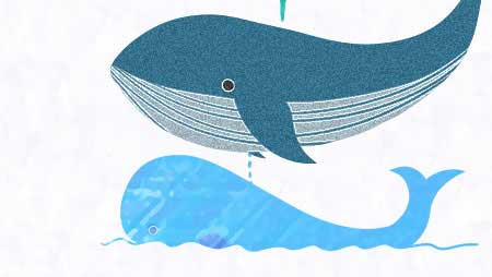可愛いクジラのフレーム無料素材 海の動物の枠 チコデザ
