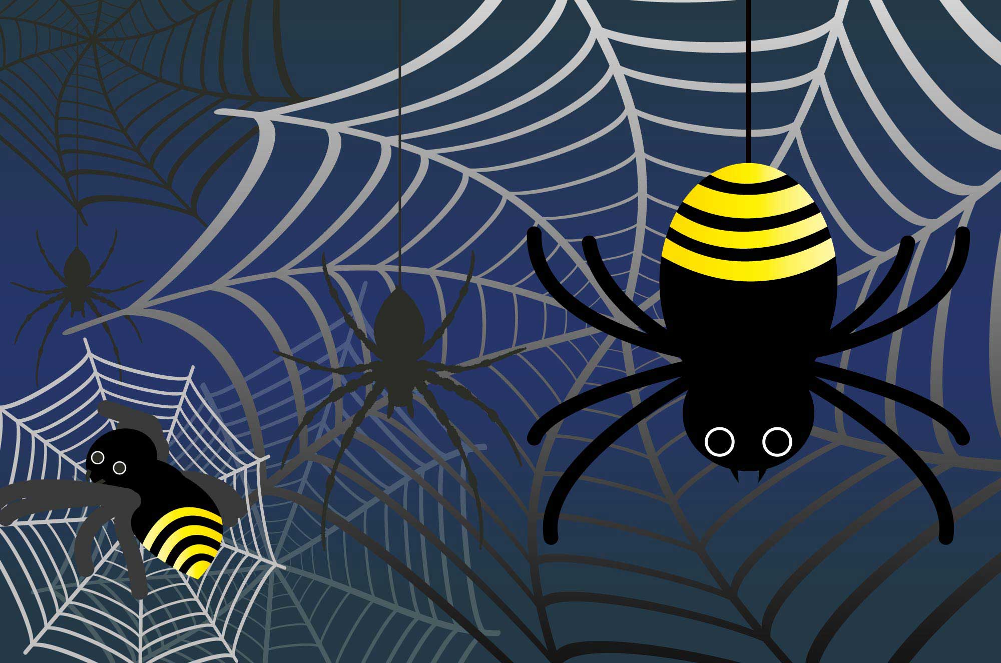 クモと蜘蛛の巣のイラスト - ちょっと怖い無料の昆虫素材