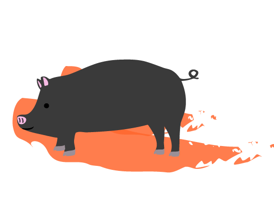 黒豚の挿絵