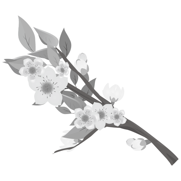 桃の花(白黒)のイラスト