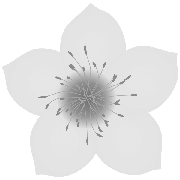 桃の花(白黒)のイラスト