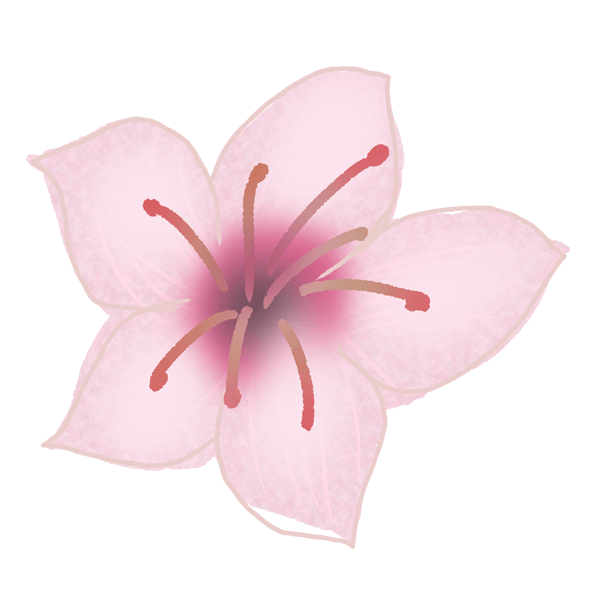 手書きの桃の花のイラスト