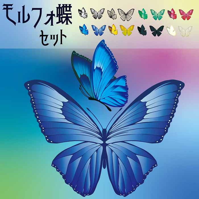 モルフォ蝶18イラストセット