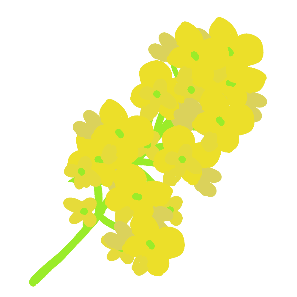 シンプルな菜の花イラスト