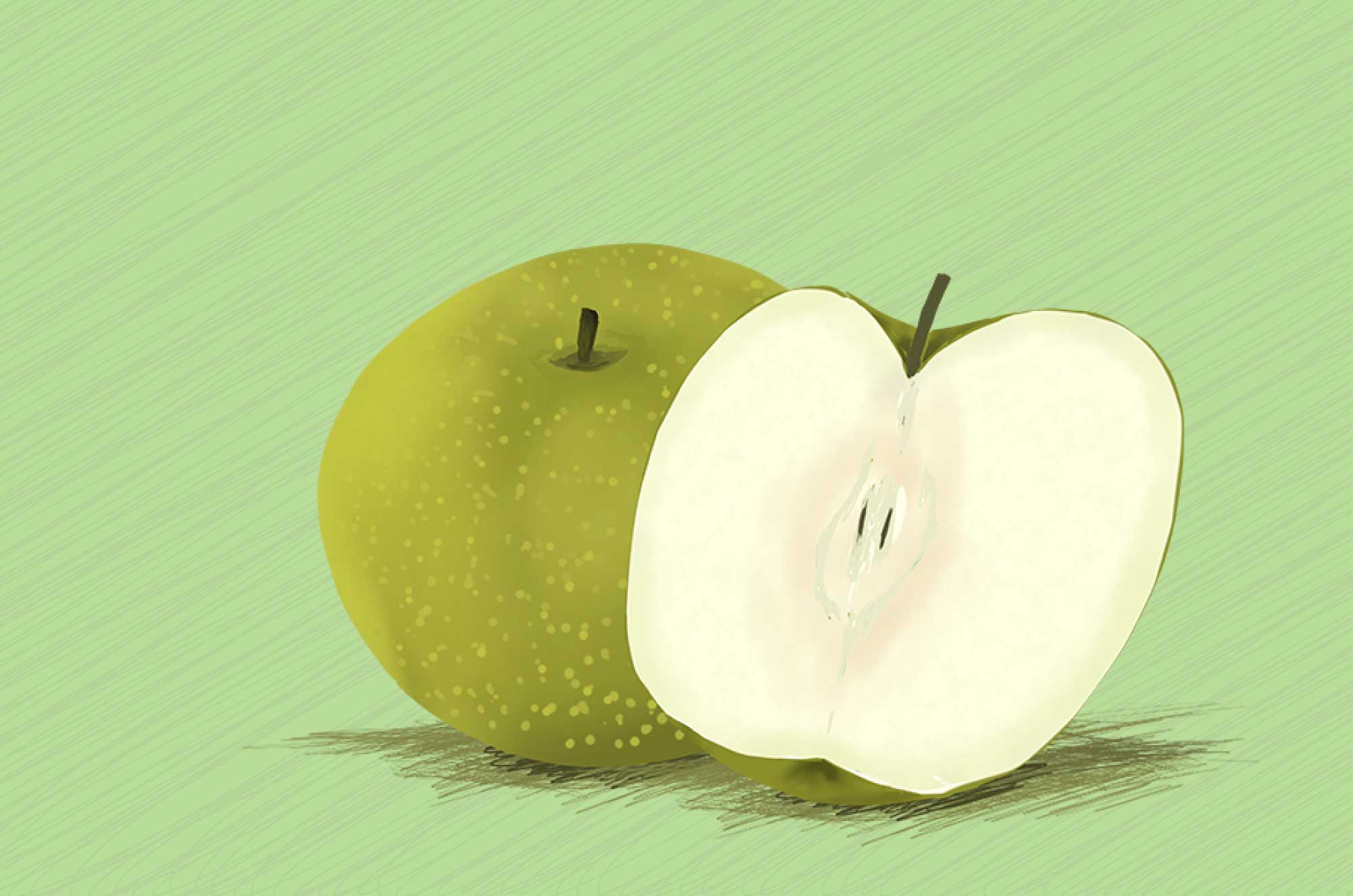 梨のイラスト - 手書きのかわいい果物無料素材