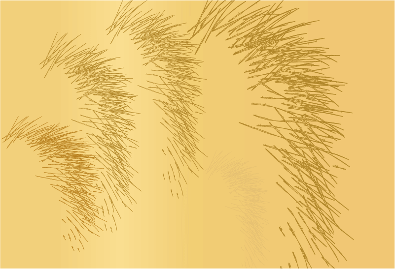 茶色い猫の毛並みのフレームイラスト