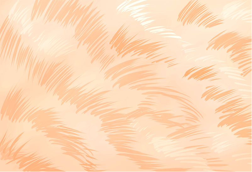 茶色い猫の毛並みフレームのイラスト3