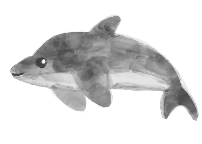 白黒の水彩イルカのイラスト