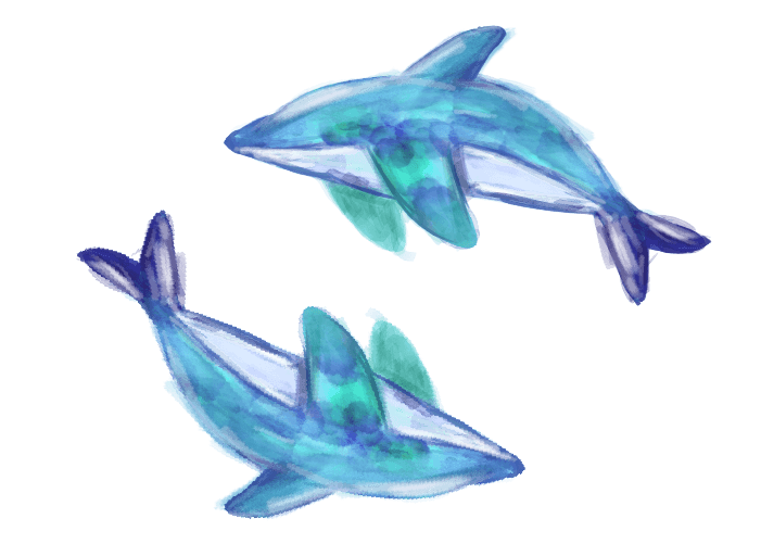おしゃれな水彩イルカのイラスト