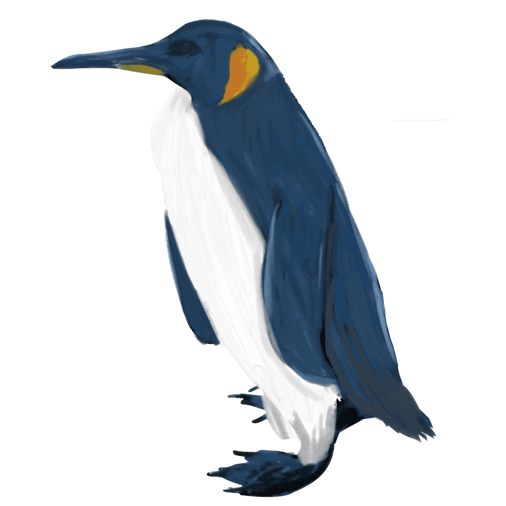 立つ水彩画の皇帝ペンギンのイラスト
