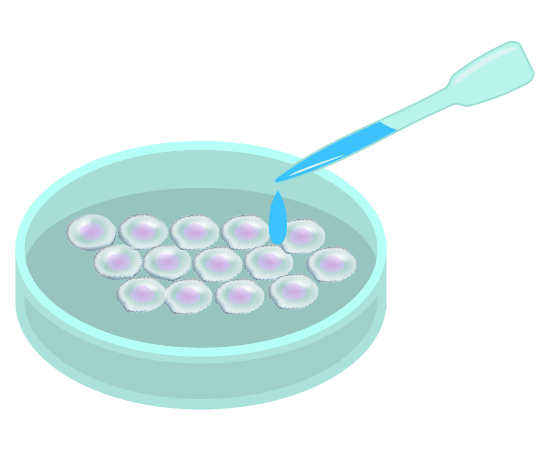 細胞培養のイラスト