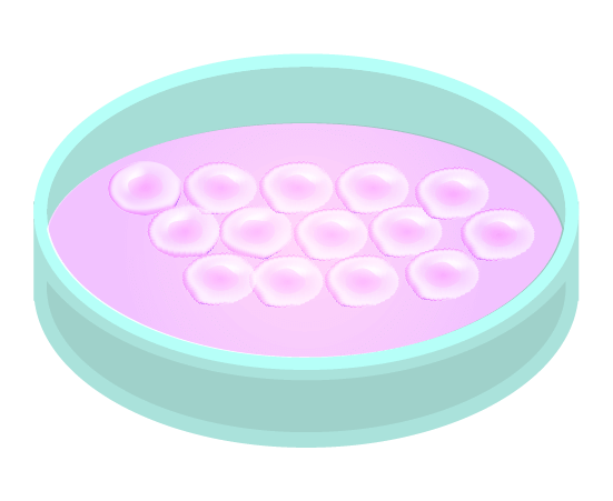細胞入りシャーレ(紫)のイラスト