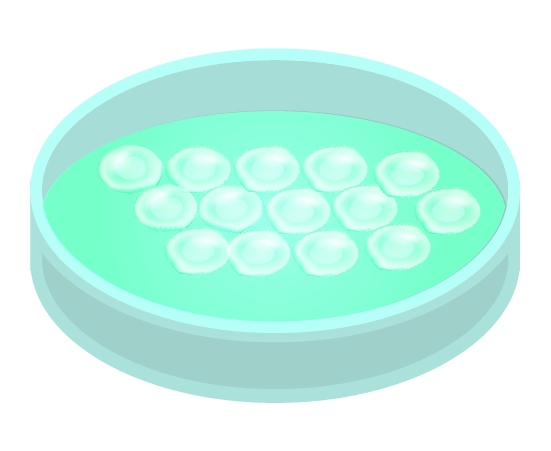 細胞入りシャーレ(緑)のイラスト