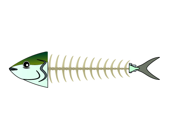 青魚の魚の骨のイラスト