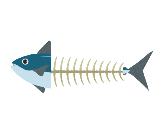 マグロの魚の骨のイラスト
